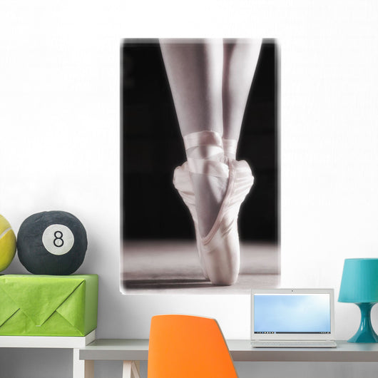 Ballet Slippers Wall Mural