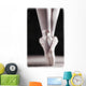 Ballet Slippers Wall Mural