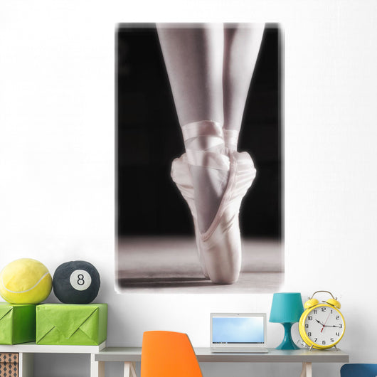 Ballet Slippers Wall Mural