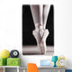 Ballet Slippers Wall Mural