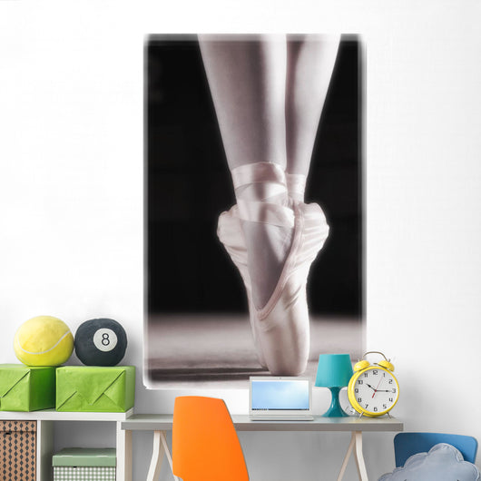 Ballet Slippers Wall Mural