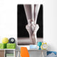 Ballet Slippers Wall Mural