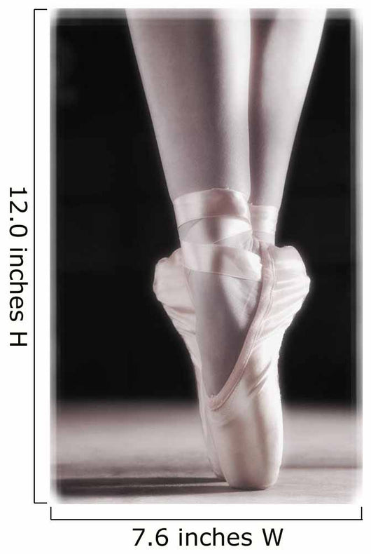 Ballet Slippers Wall Mural