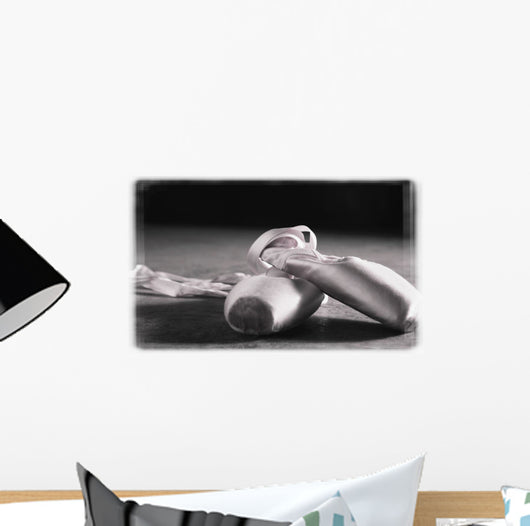 Ballet Slippers Wall Mural