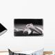 Ballet Slippers Wall Mural