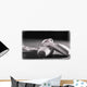 Ballet Slippers Wall Mural