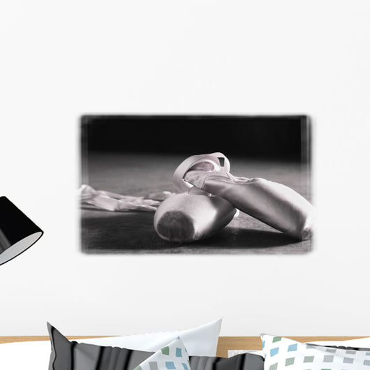 Ballet Slippers Wall Mural