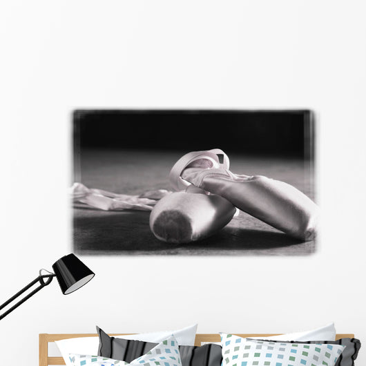 Ballet Slippers Wall Mural