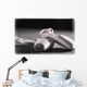 Ballet Slippers Wall Mural