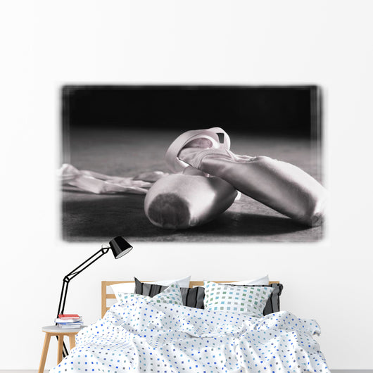 Ballet Slippers Wall Mural