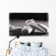 Ballet Slippers Wall Mural