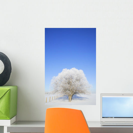 Frosty Trees Wall Mural