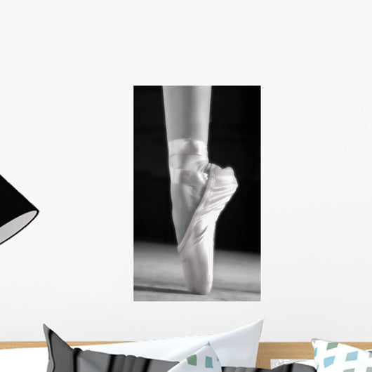 A Ballet Slipper Wall Mural