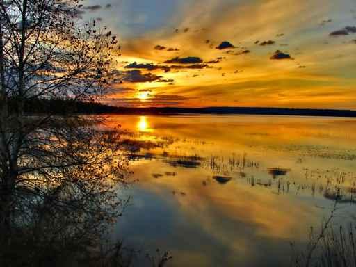 Dawning River Wall Decal