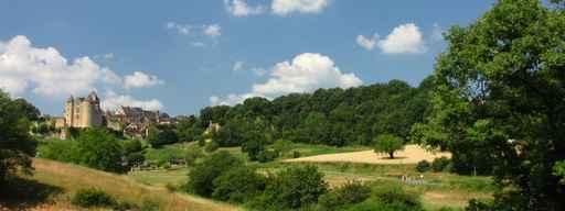 Salignac and His Castle Wall Decal Design 2