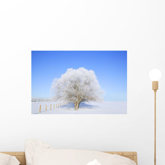 Trees In Winter Wall Mural
