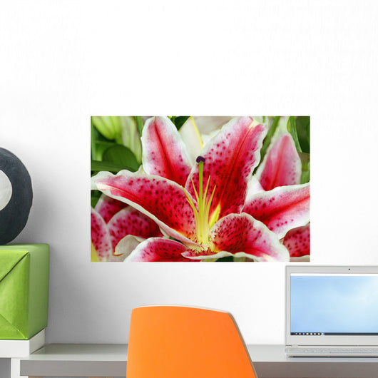 A Blooming Flower Wall Mural