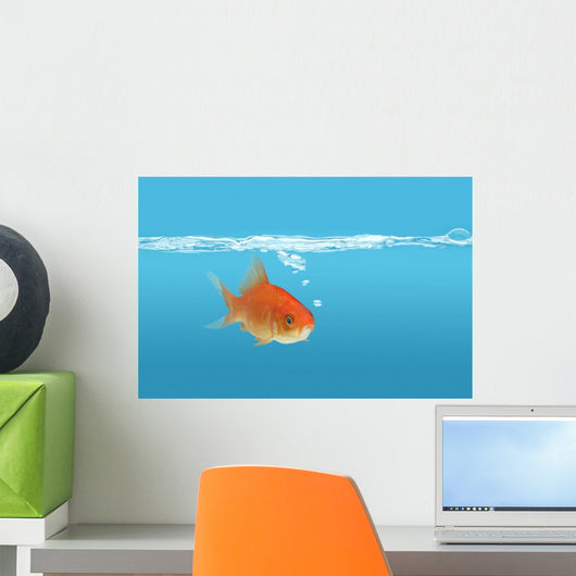 Goldfish Wall Mural
