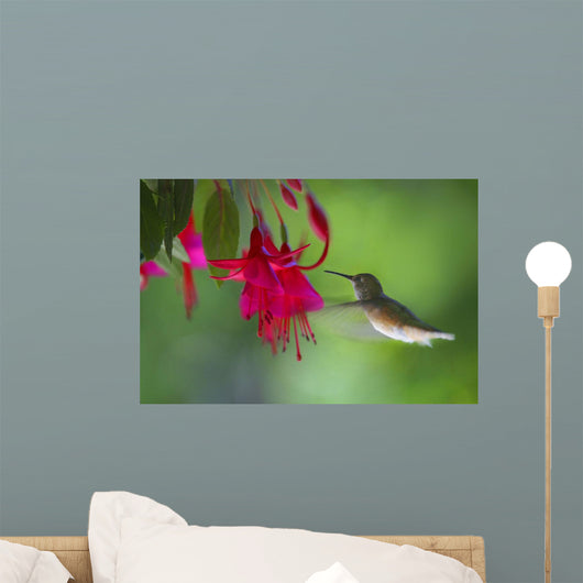 Hummingbird Wall Mural