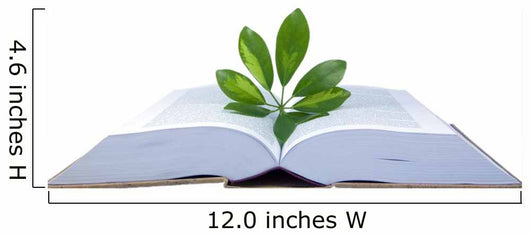 The open book Wall Decal