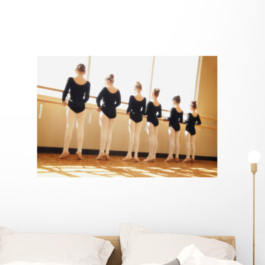 A Dance Class Wall Mural