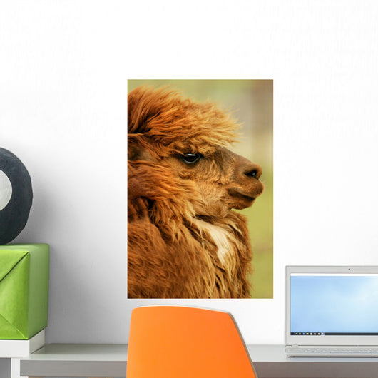 Profile Of A Camelid Wall Mural
