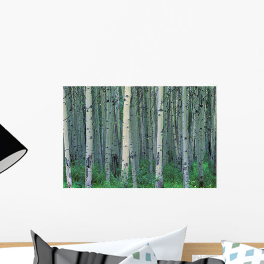 A Forest Of Trees Wall Mural
