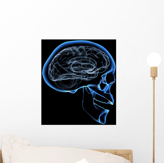 human brain Wall Mural