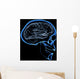human brain Wall Mural