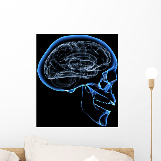 human brain Wall Mural