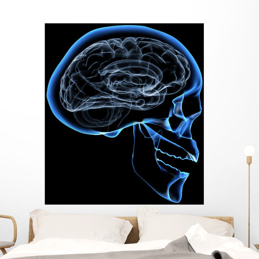 human brain Wall Mural