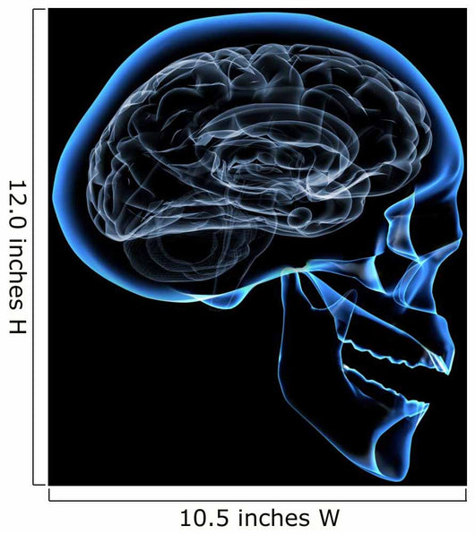 human brain Wall Mural