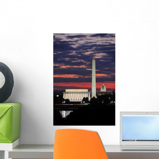 Washington DC Skyline Wall Mural