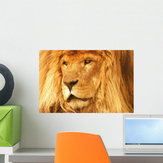 A Lion Wall Mural
