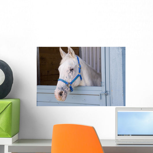 White Horse Wall Mural