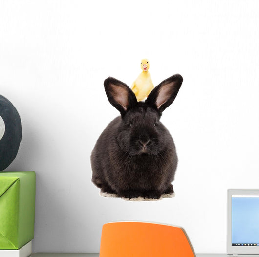 Black Rabbit with Duckling Wall Decal