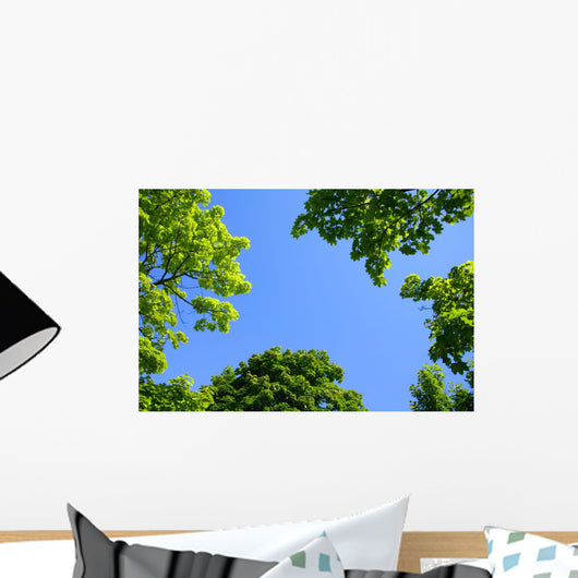 The Sky Through Trees Wall Mural