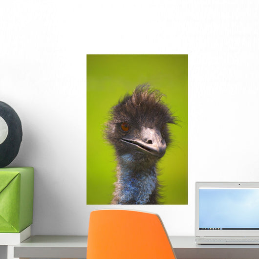 Ostrich Wall Mural