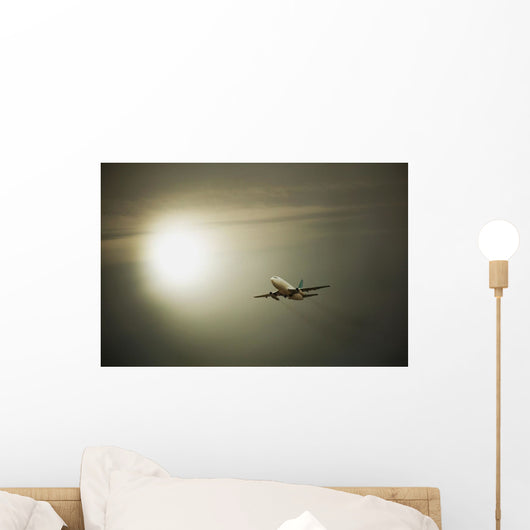 Airplane Wall Mural