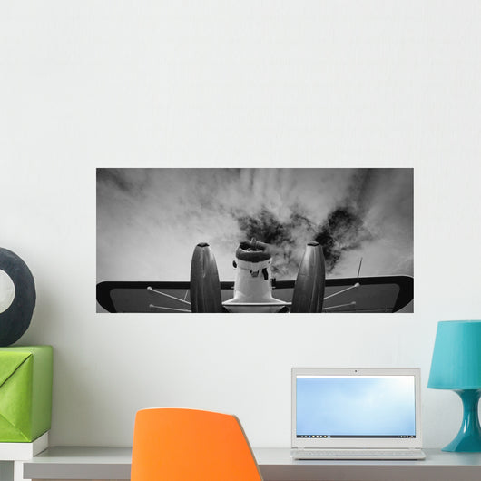 Plane Wall Mural