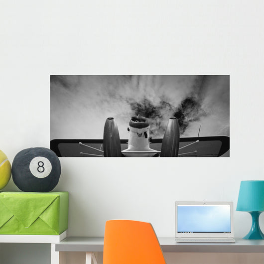 Plane Wall Mural