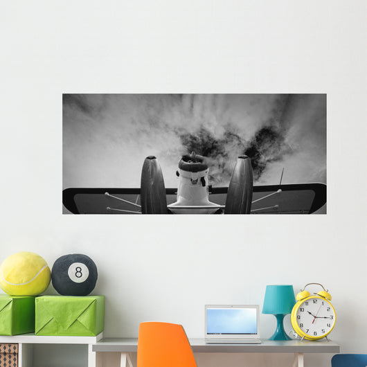 Plane Wall Mural