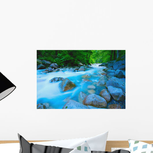 Water Rushing Through Rocks Wall Mural