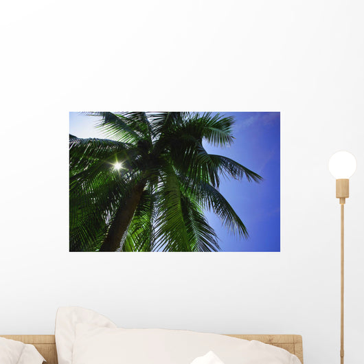 Palm Tree Wall Mural