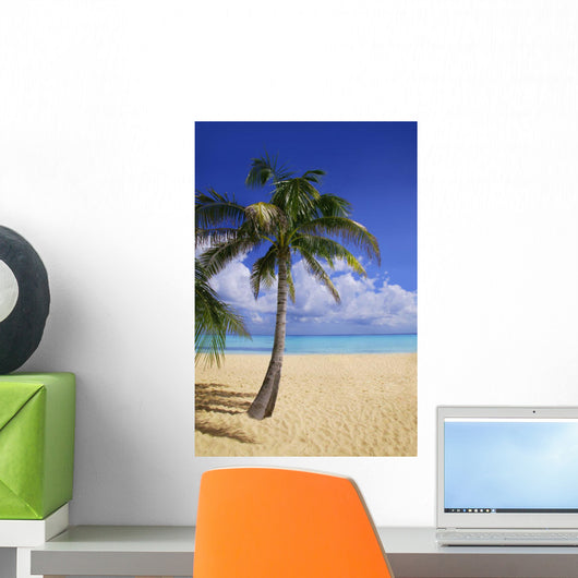 Palm Tree On Tropical Beach Wall Mural