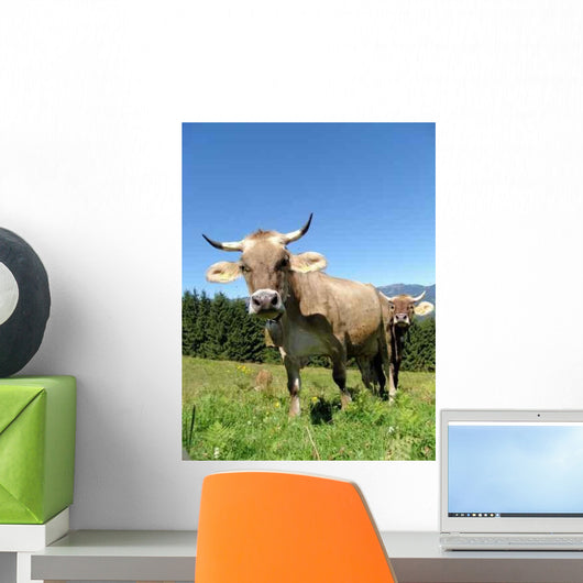Real Cows Wall Decal Design 2