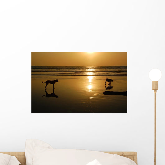 Two Dogs Beach Sunset