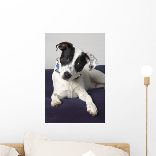Small Black And White Dog Wall Mural