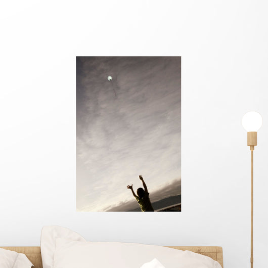 Balloon Floating Away In The Sky Wall Mural