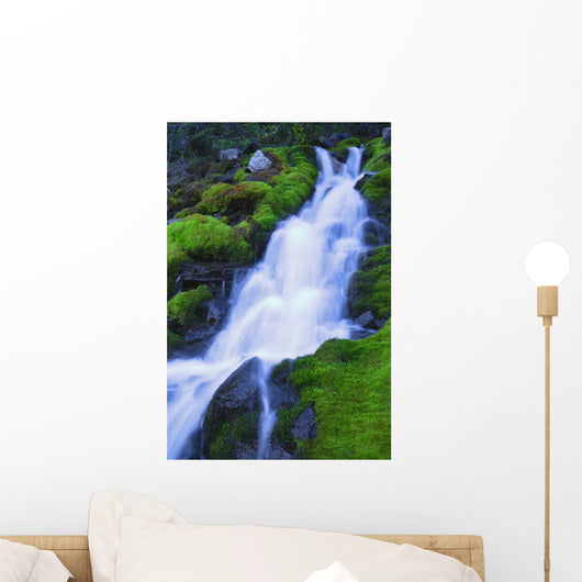 Bright Waterfall, Jasper, Alberta, Canada Wall Mural